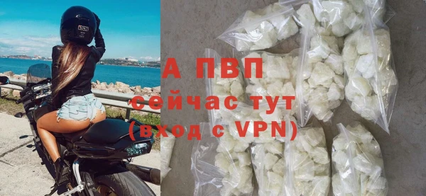 мдпв Богданович