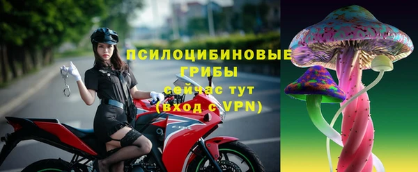 мдпв Богданович