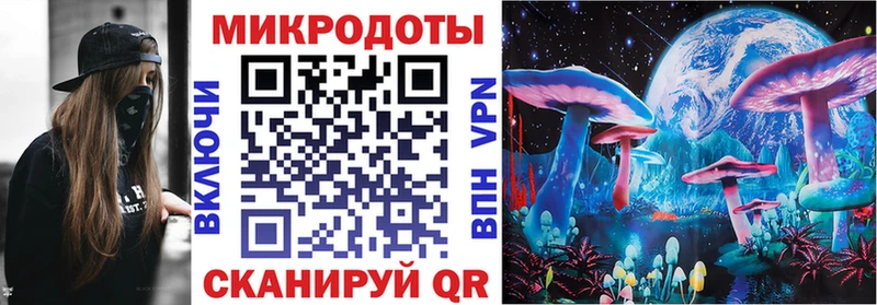 Галлюциногенные грибы Psilocybe Купить Биробиджан